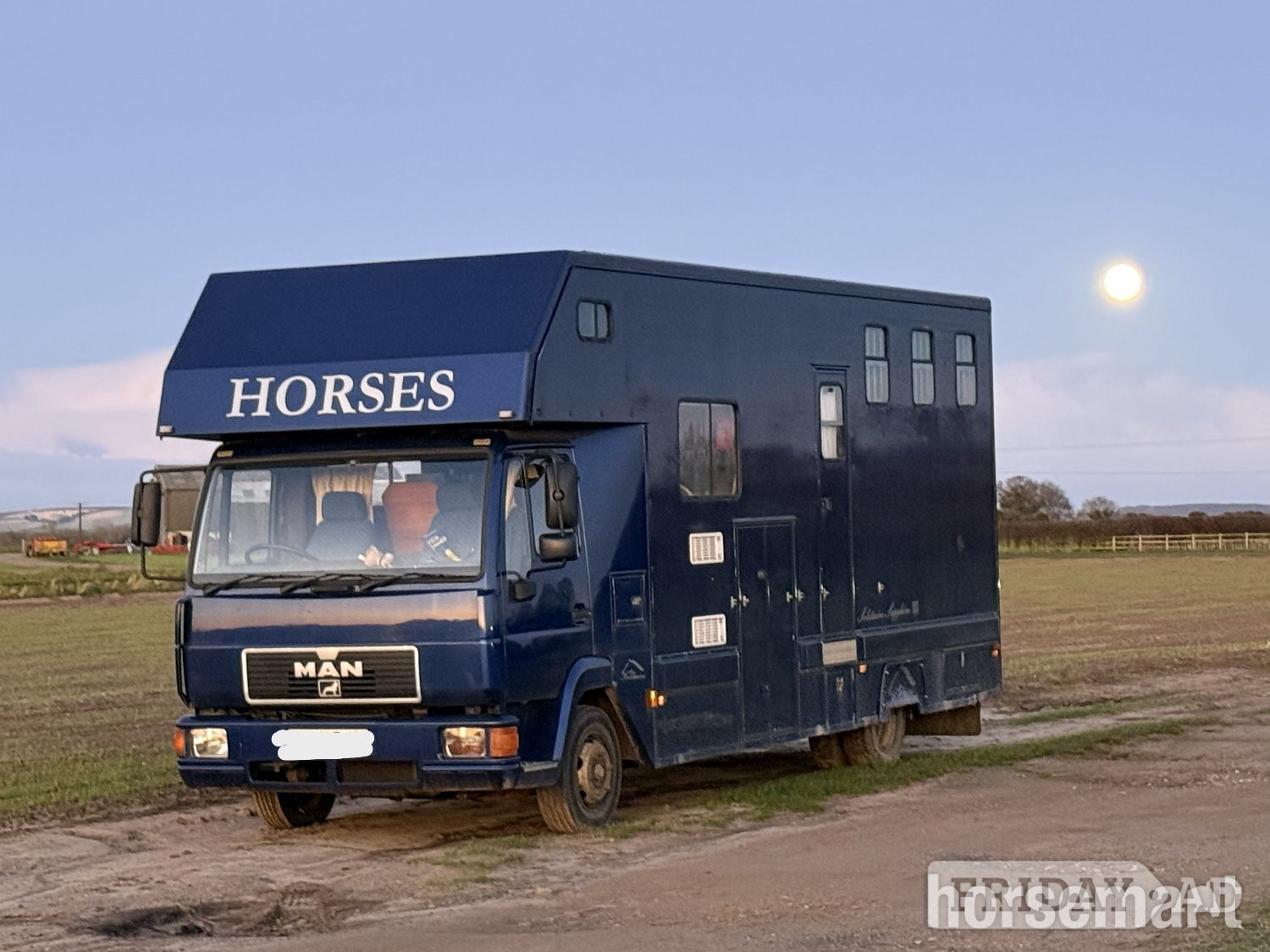 Solitaire  Man Horsebox - Trailers & Horseboxes in Pocklington