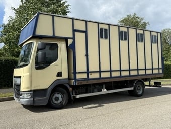 Winterbourne  DAF LF Horsebox