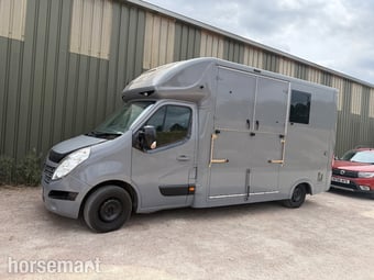 Foxy Foxy stallion Renault Horsebox