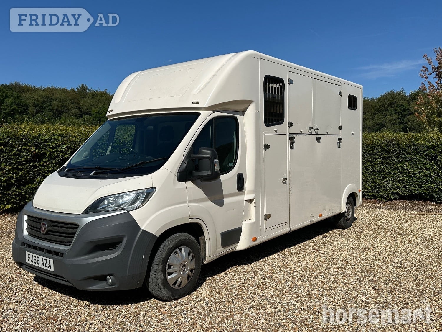 Custom Ducato 35 Multijet Fiat Horsebox in Andover