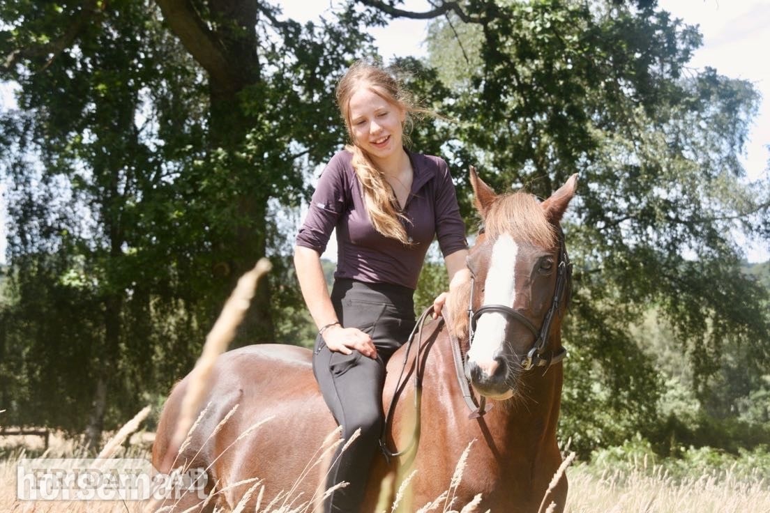 "Amigo" Liver Chestnut Gelding All Rounder - Horses