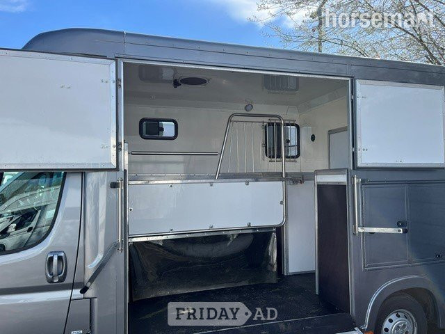 Regent Weekender Citroen Horsebox - Trailers & Horseboxes in Ellesmere Port