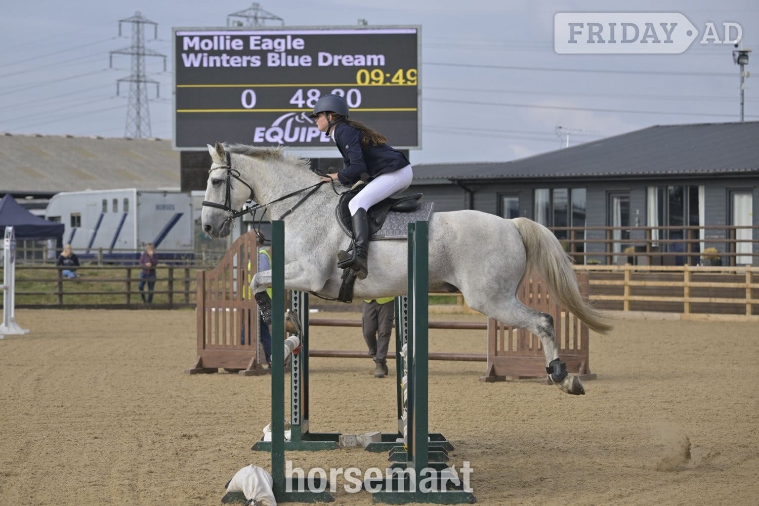 Beccles "Blue" Grey Gelding All Rounder