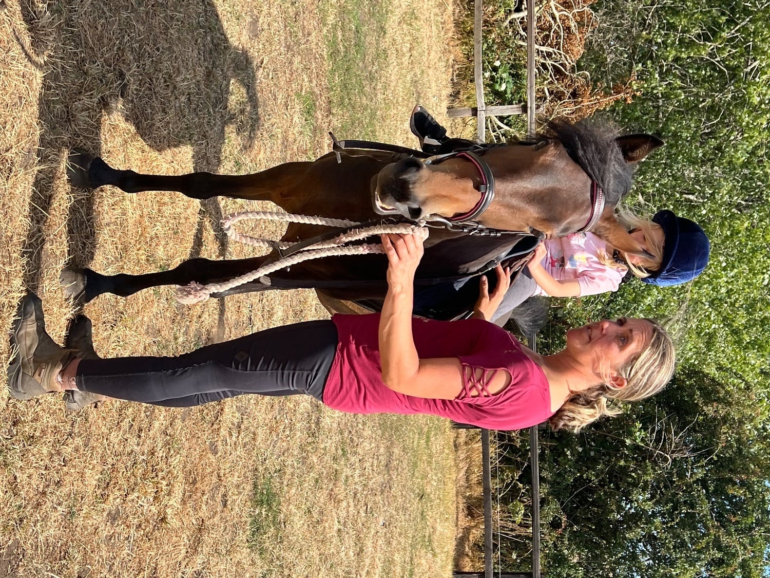"Elsa" Dark Bay Mare All Rounder