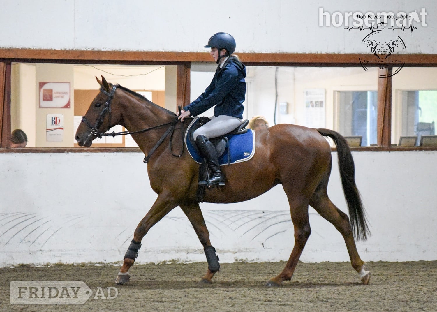 "Olive "  Mare All Rounder in Bridgwater