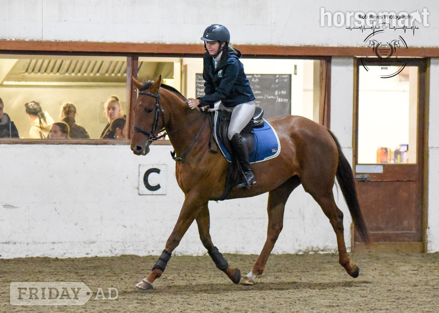 "Olive "  Mare All Rounder - Horses in Bridgwater