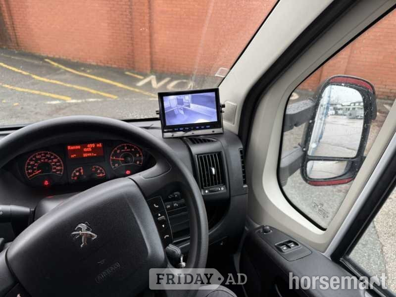 Equi-Trek Equinox Peugeot Horsebox - Trailers & Horseboxes in Leyland