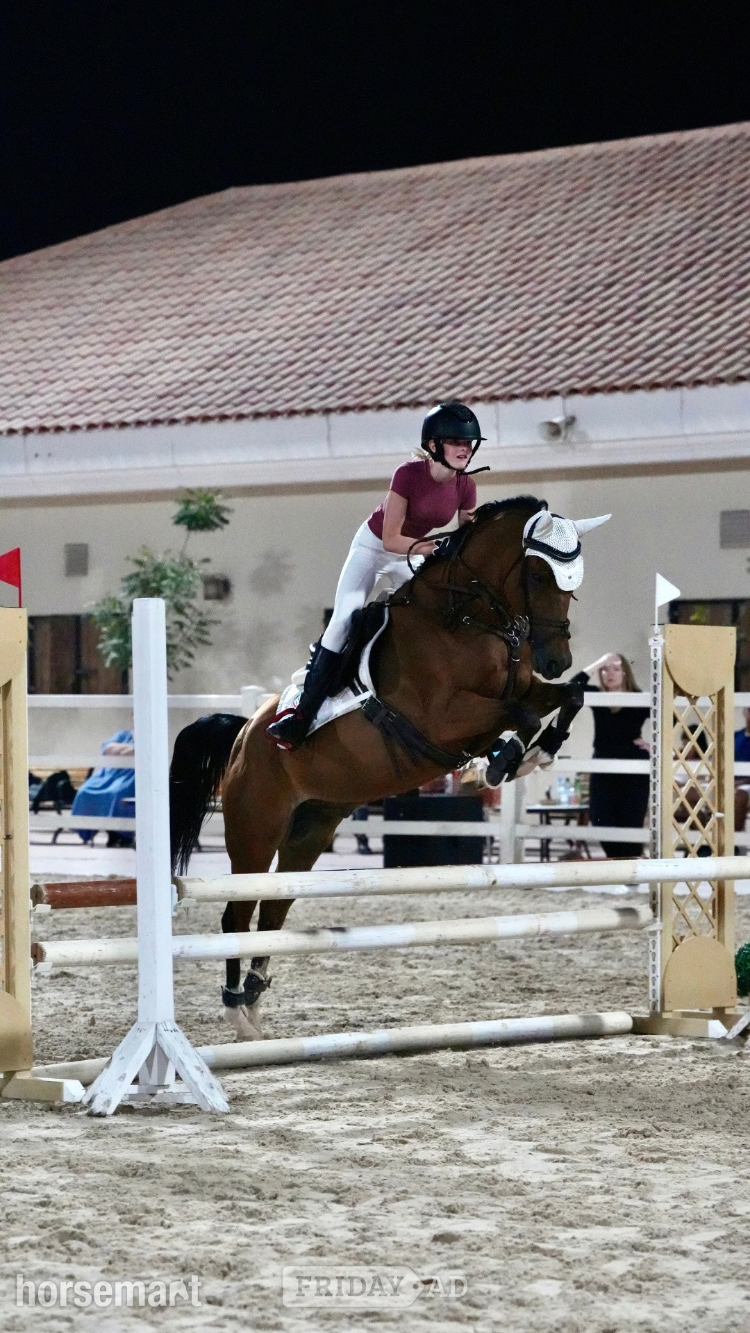"Pierre" Bay Roan Gelding Show Jumper in Willingale