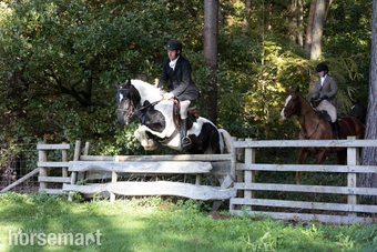 "Billy The Kid" Piebald Gelding Hunter
