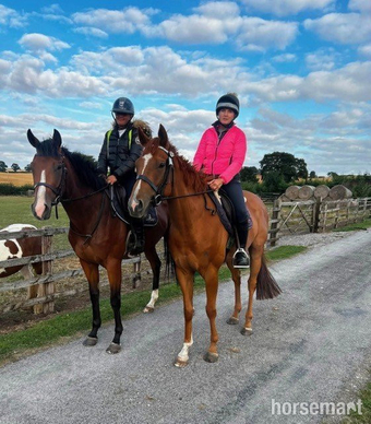 "Bobby" Bay Filly All Rounder