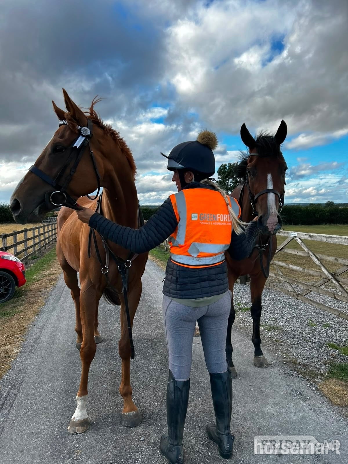 "Bobby" Bay Filly All Rounder - Horses