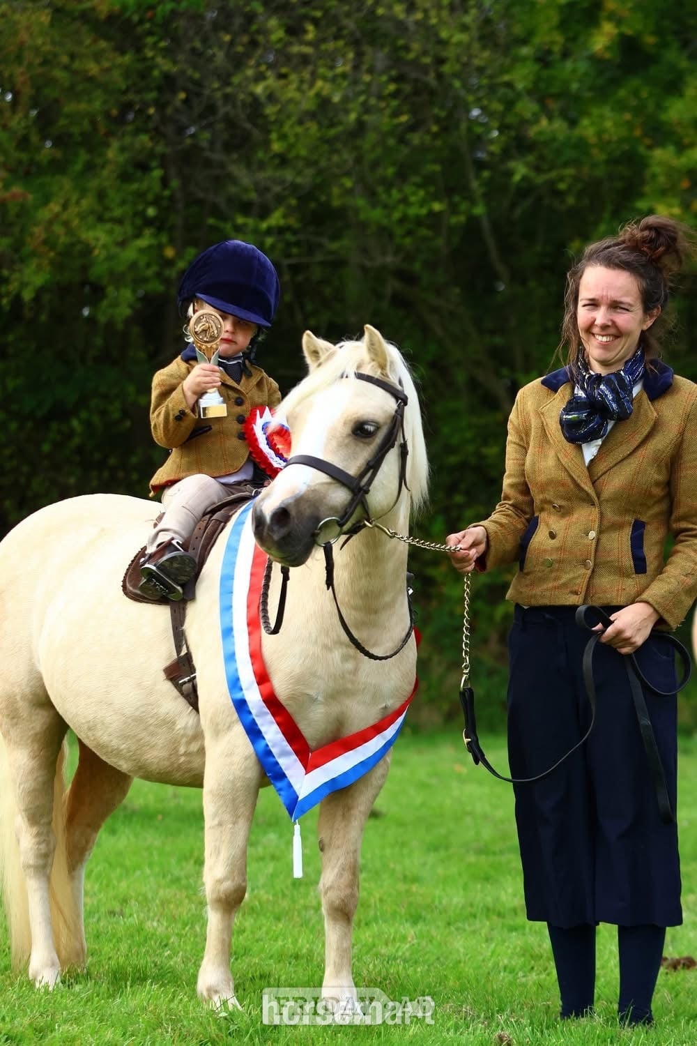 "Trefaes Glittering Leona" Palomino Mare Showing Horse - Horses