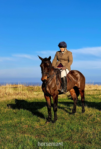 "Chrissy" Bay Mare All Rounder