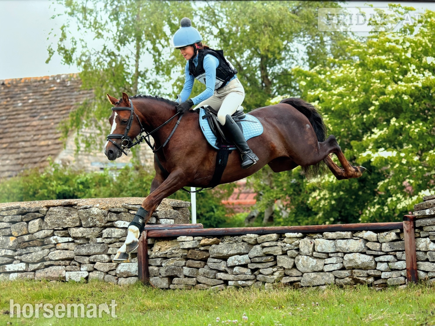 "Rianwyn Fairy Footsteps " Liver Chestnut Mare Pony Club Pony in Cheltenham
