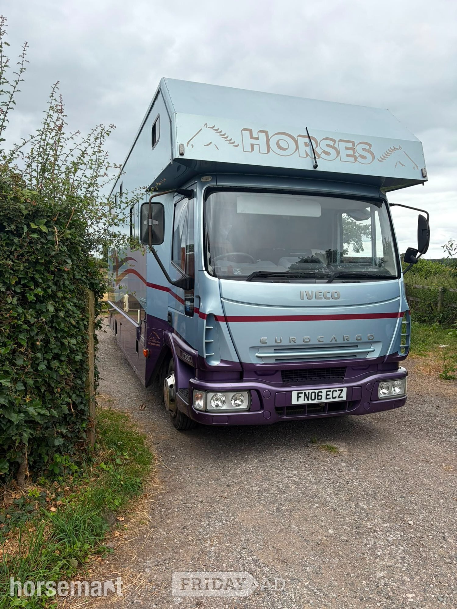 Solitaire Sapphire III Iveco Horsebox in Sheffield