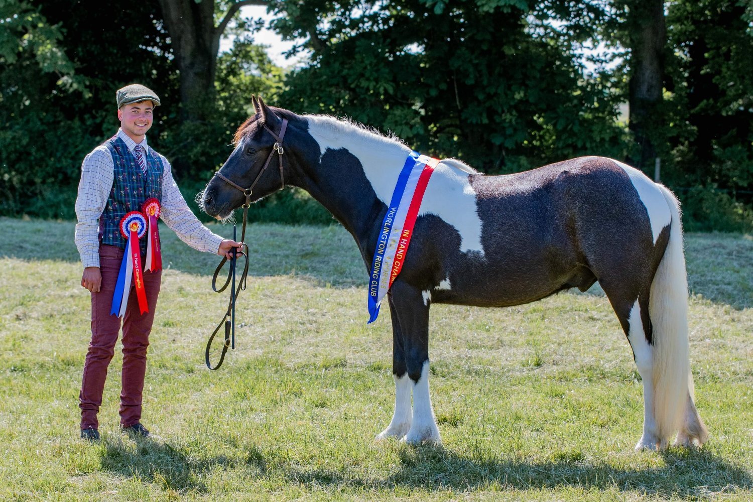 Cambridge "Campion Rumbaba" Piebald Gelding All Rounder