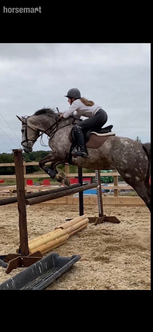 "FORANS COUGAR MINT" Grey Mare All Rounder