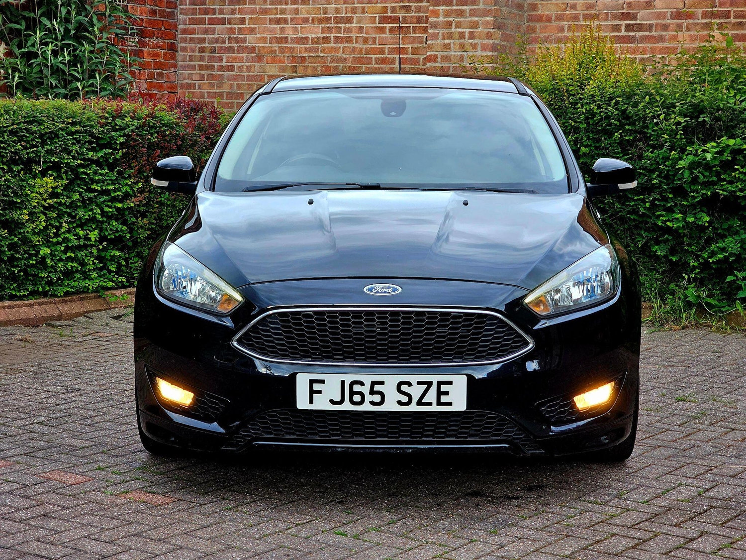 [ berth ]Ford Focus