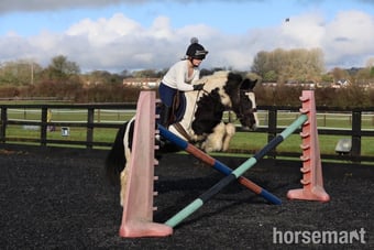 "Rags" Blue &amp; White Gelding All Rounder