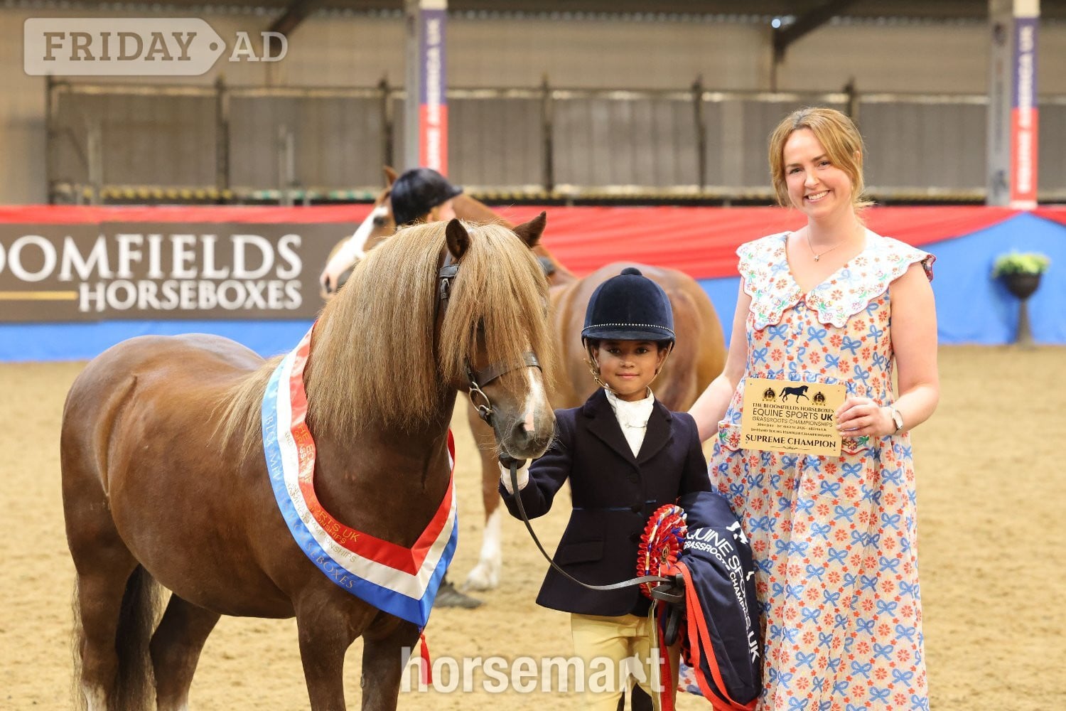 "Crosslands double take " Chestnut Gelding Pony Club Pony in Nottingham