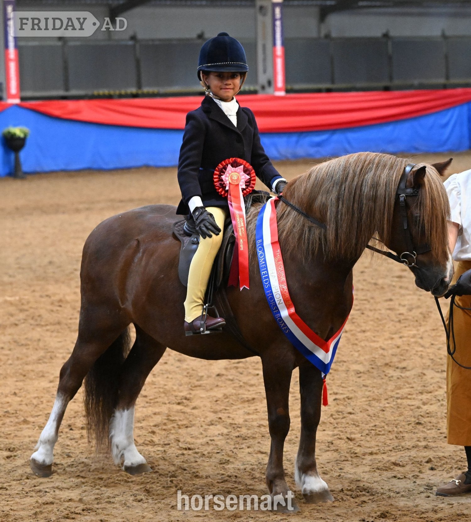 "Crosslands double take " Chestnut Gelding Pony Club Pony