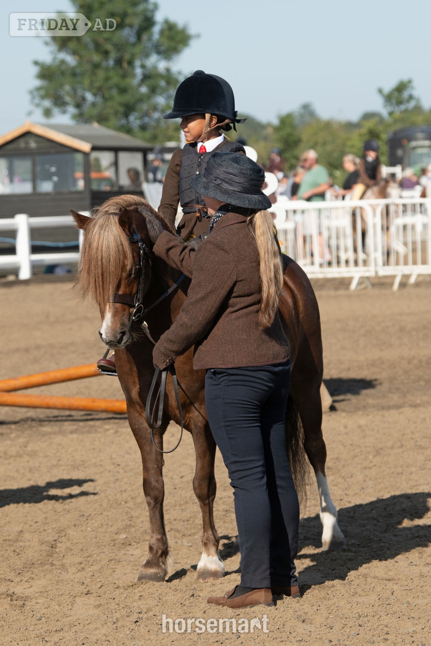 Nottingham "Crosslands double take " Chestnut Gelding Pony Club Pony