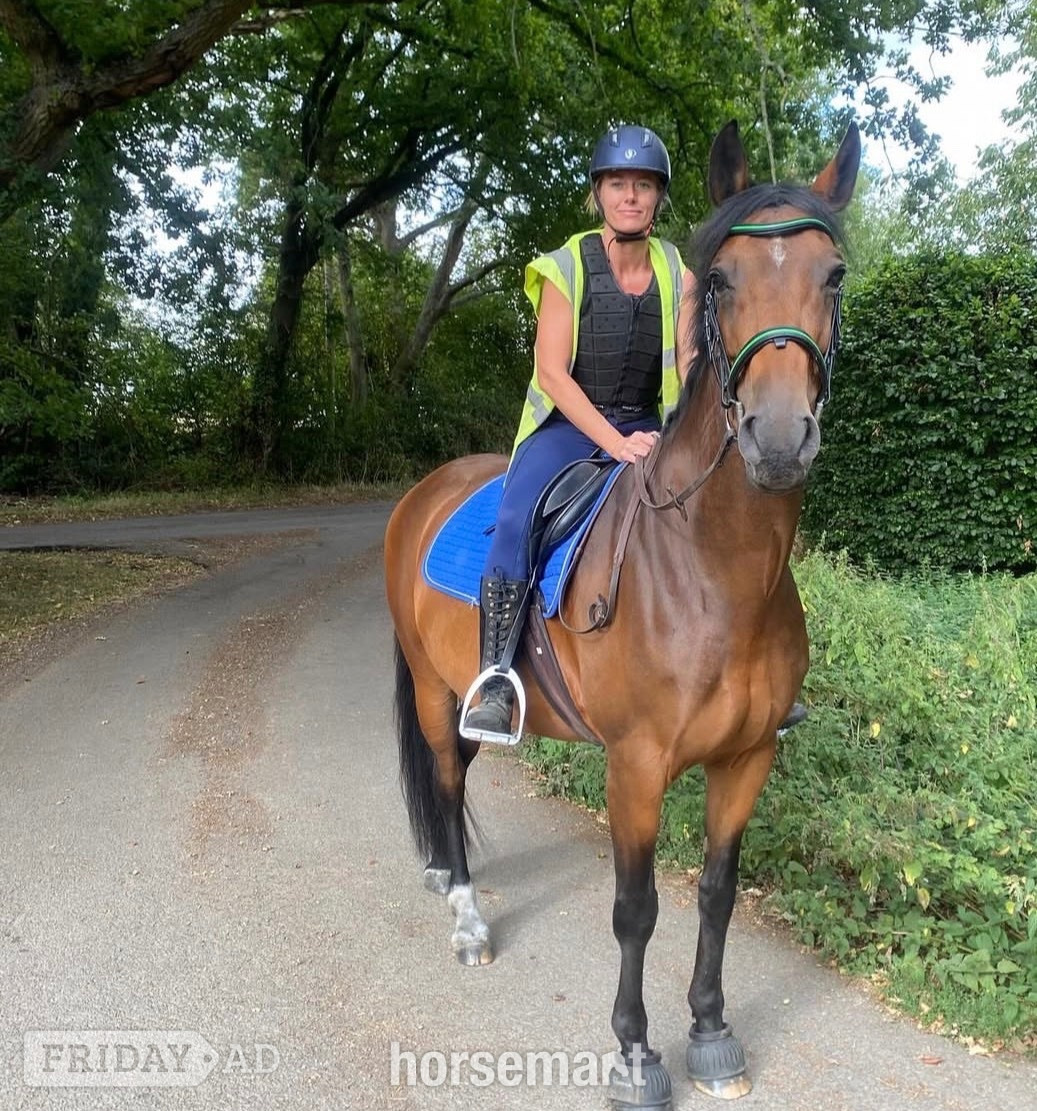" Lovely mare seeking her person" Bay Mare All Rounder in Markyate