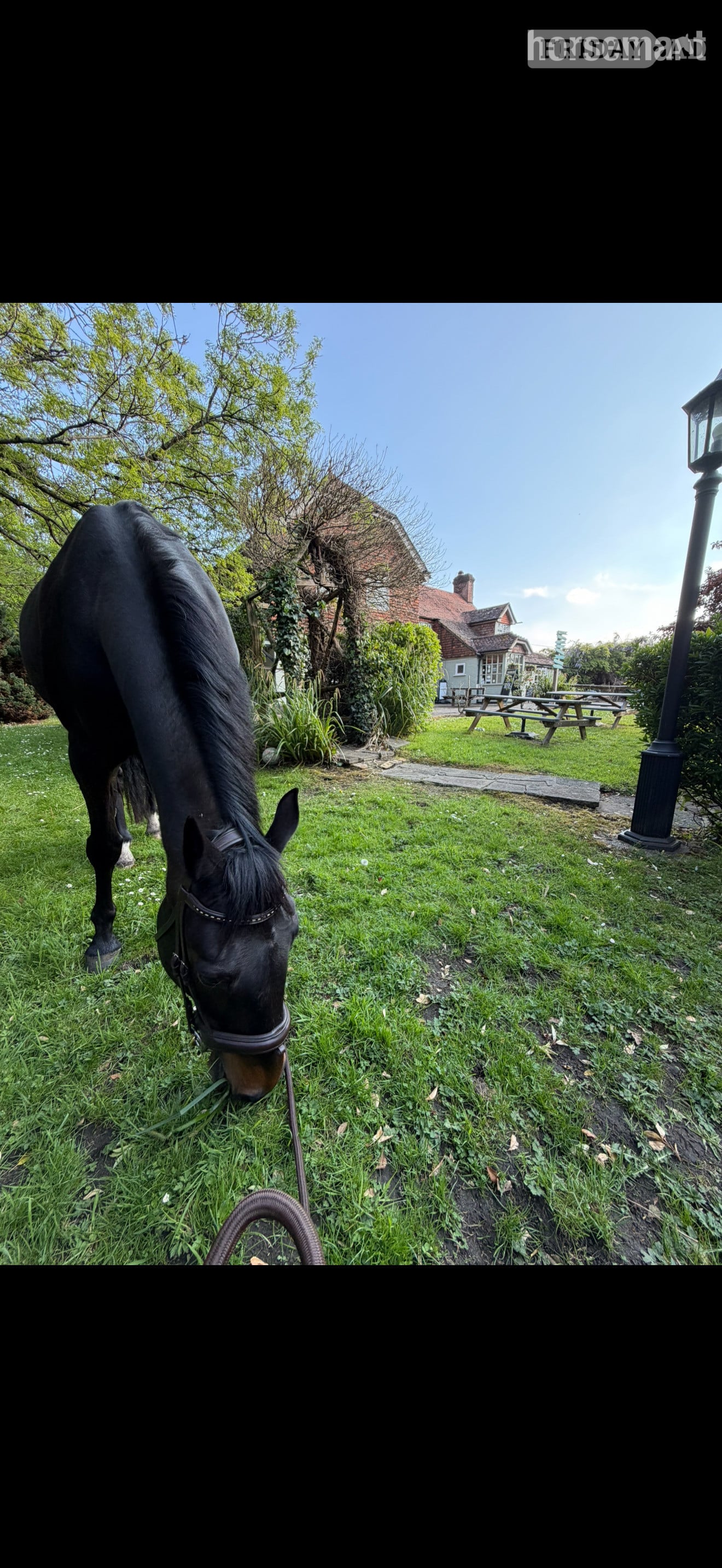 Jack for share, Pirbright 