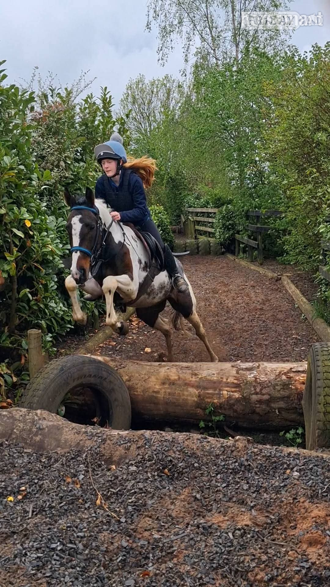 "Fea" Skewbald Mare All Rounder