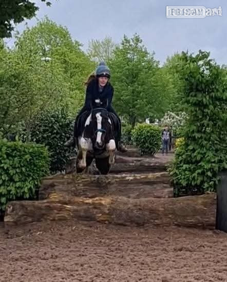 "Fea" Skewbald Mare All Rounder - Horses
