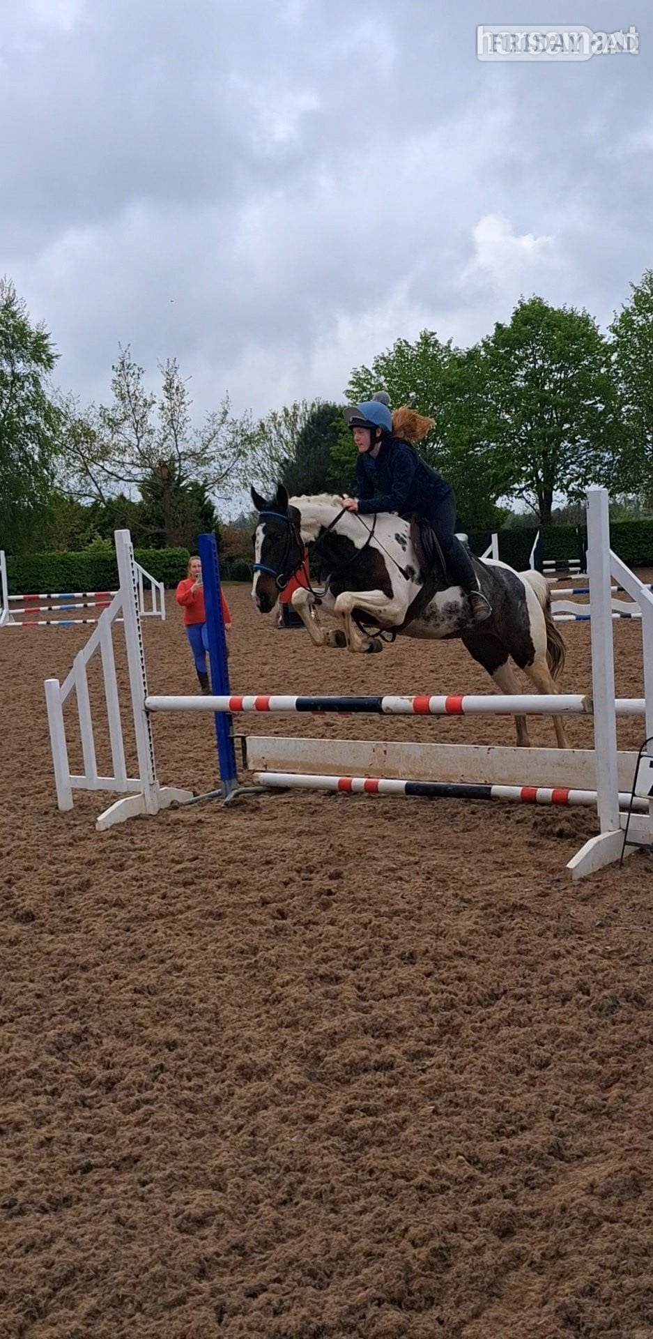 "Fea" Skewbald Mare All Rounder in Armagh