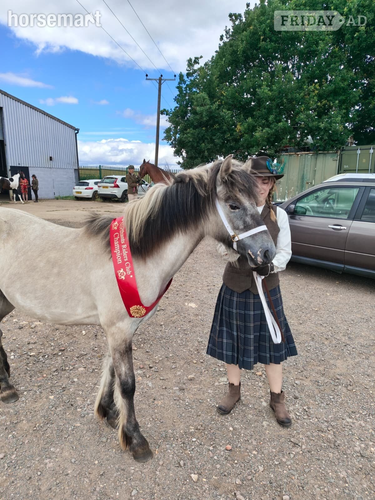 Peterborough "Leo" Grey Gelding Mountain & Moorland Pony