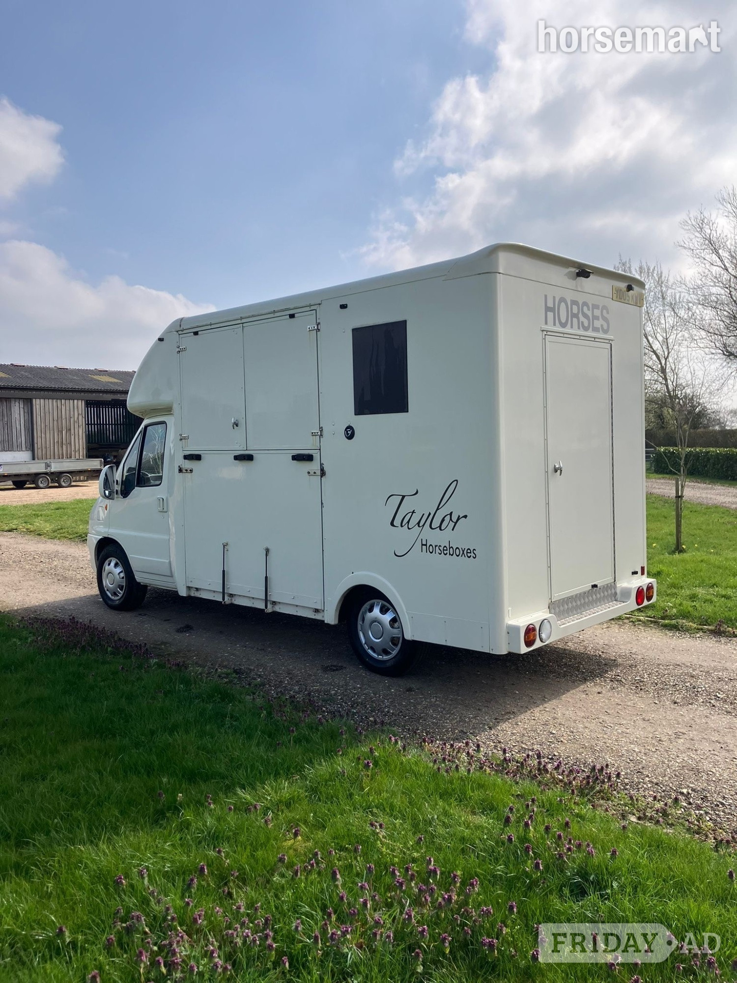 Taylor  Citroen Horsebox - Trailers & Horseboxes in Attleborough