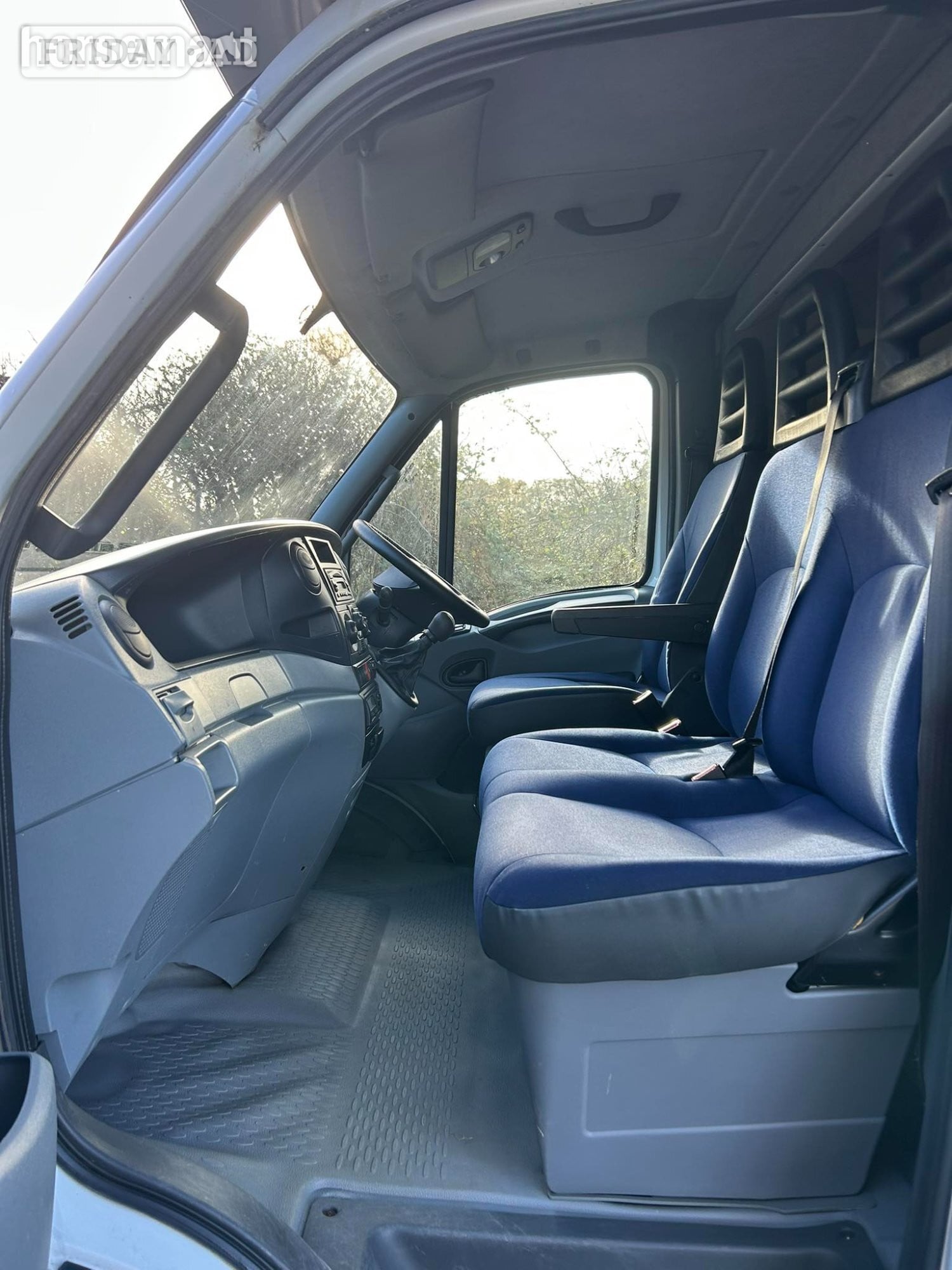 Equestria Daily Iveco Horsebox - Trailers & Horseboxes in Ashington