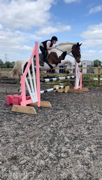 "Kacikay" Skewbald Mare Family Horse