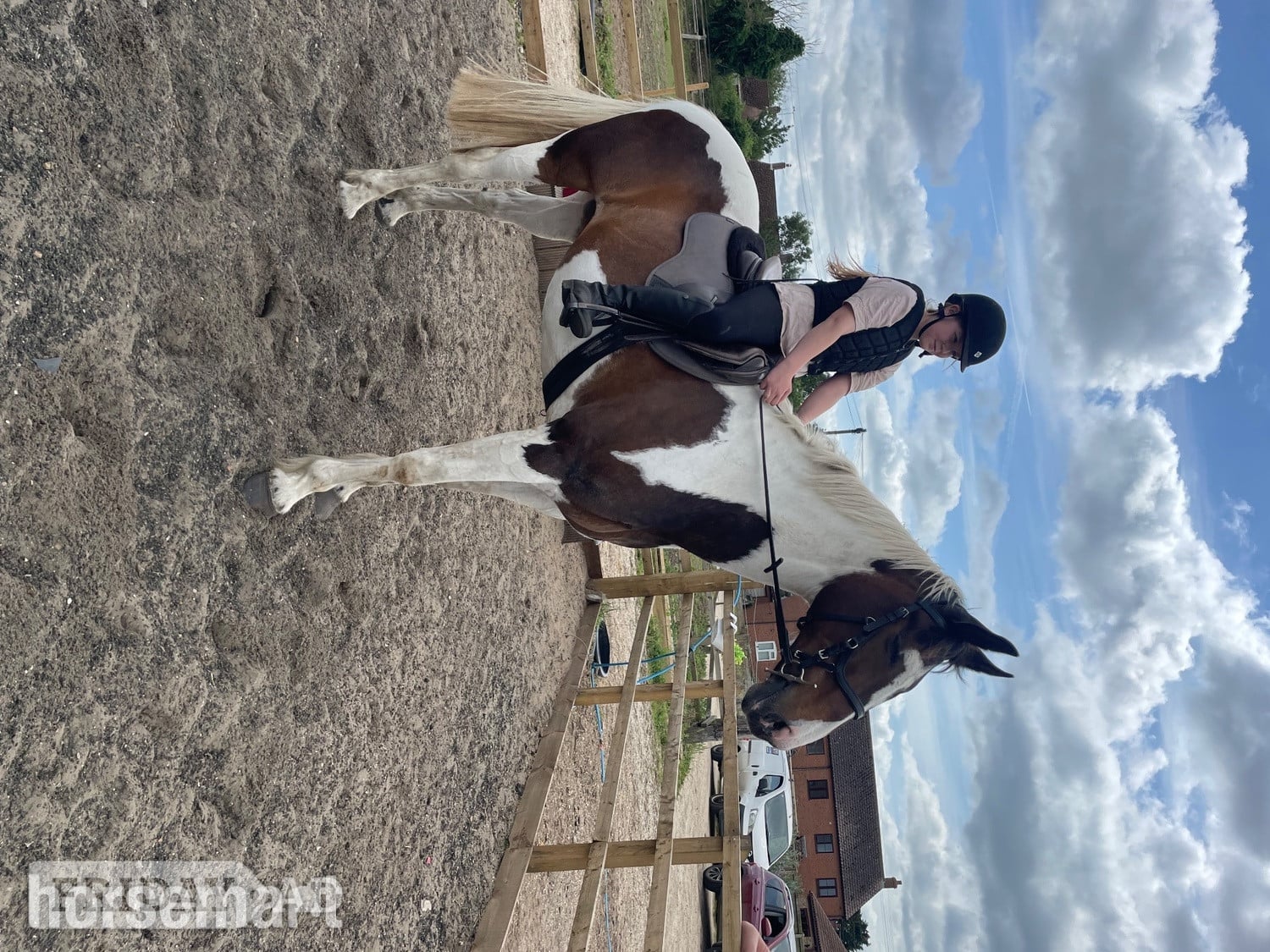 "Kacikay" Skewbald Mare Family Horse