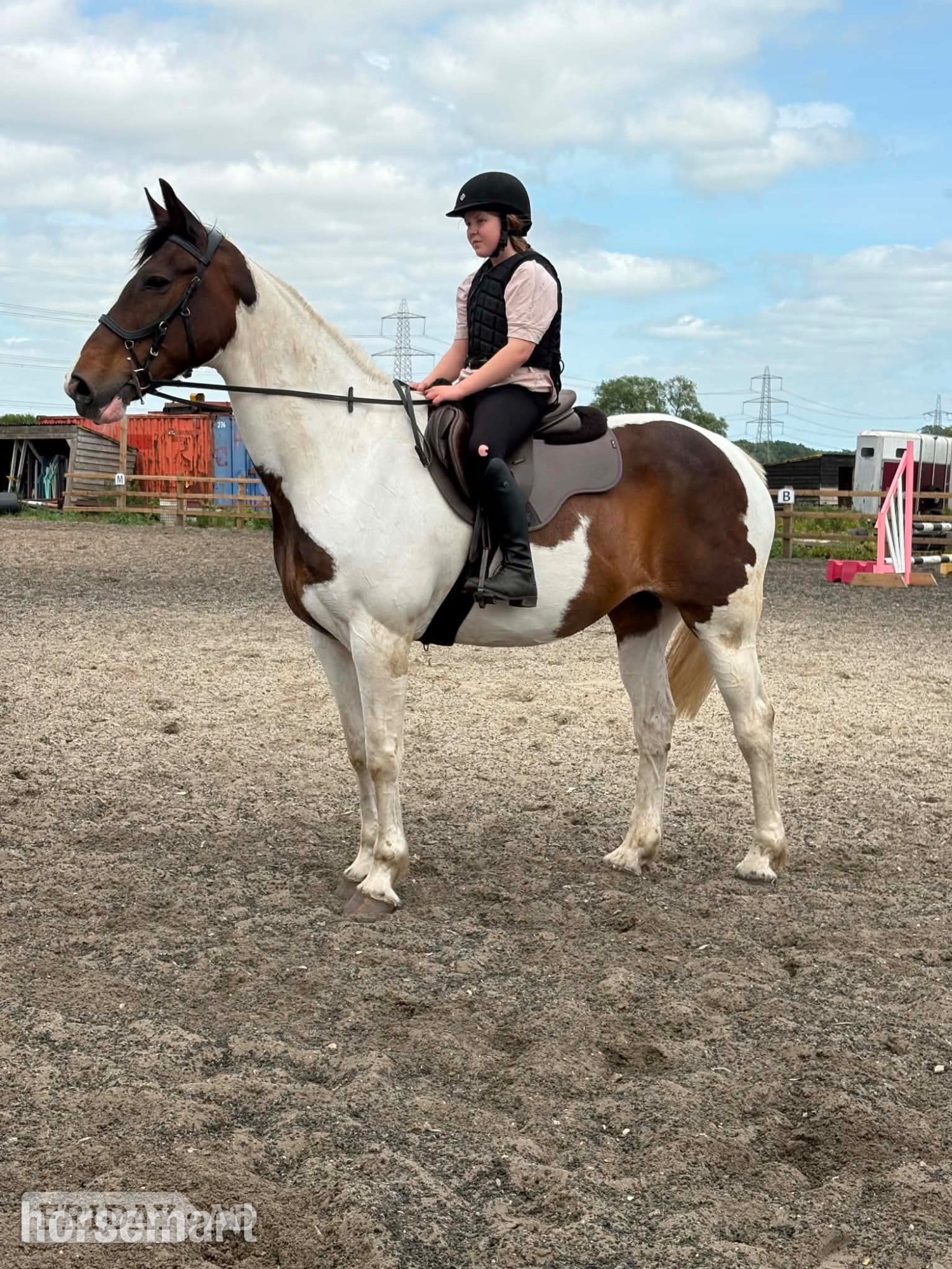 "Kacikay" Skewbald Mare Family Horse - Horses in Pentney