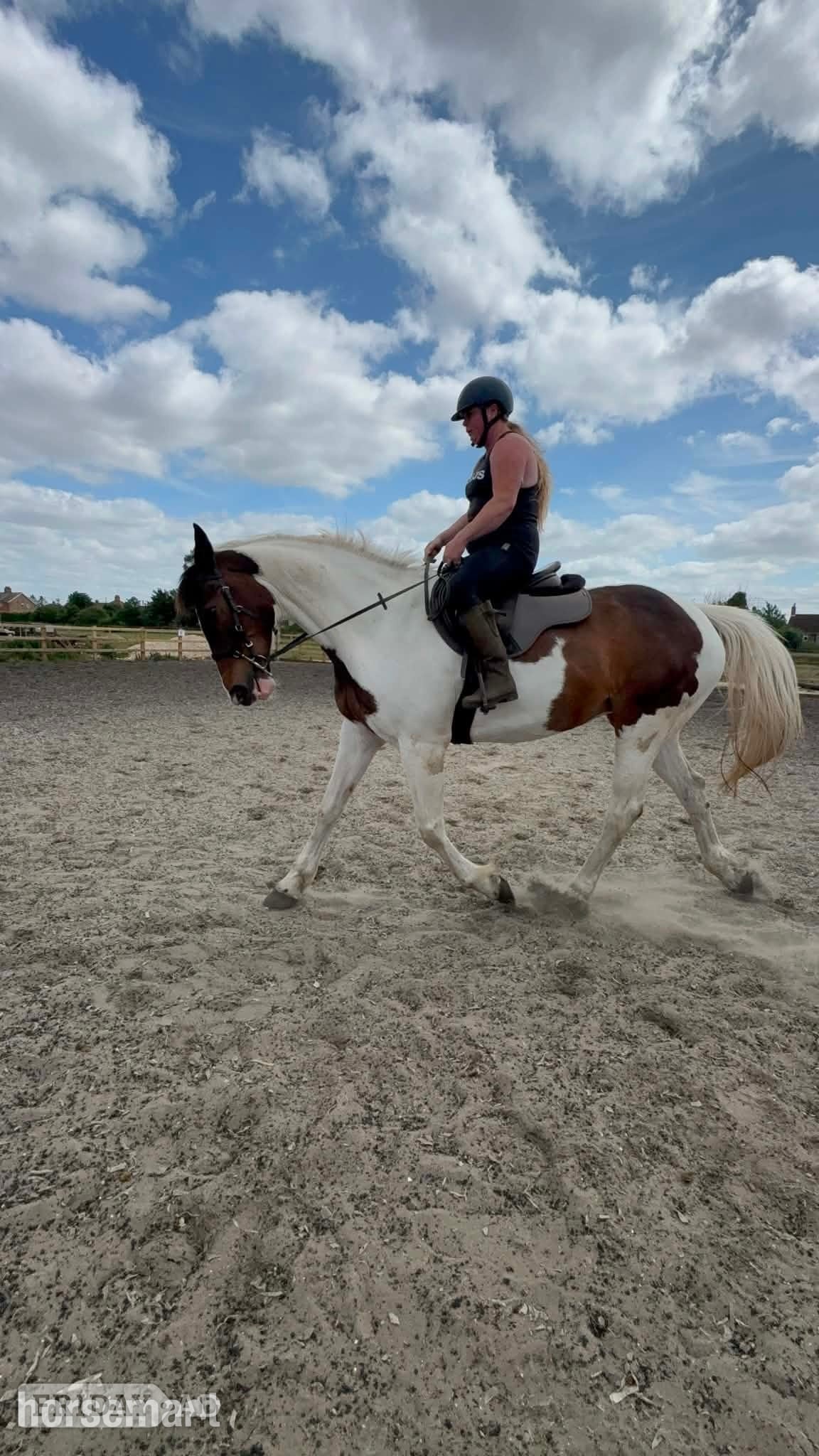 Pentney "Kacikay" Skewbald Mare Family Horse