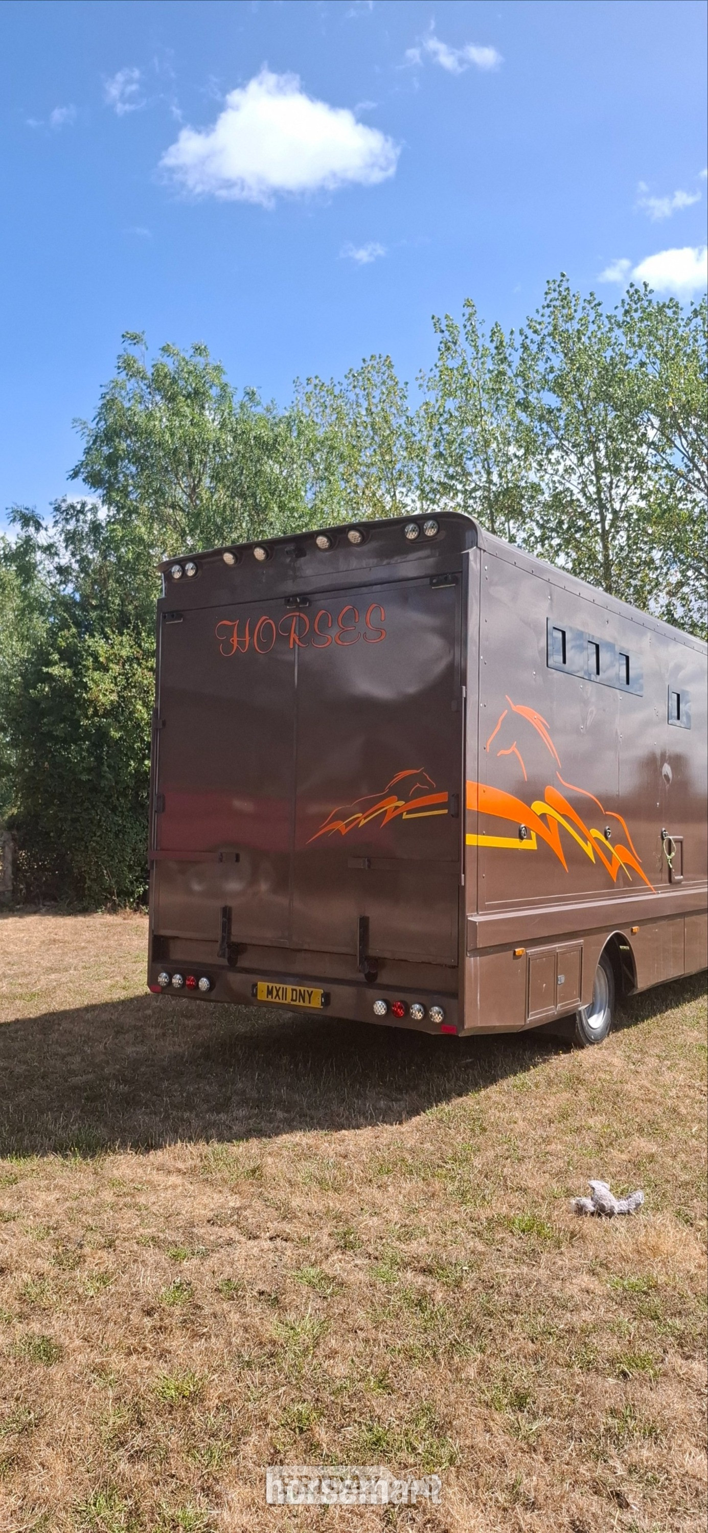 Custom  Daf Trucks Horsebox - Trailers & Horseboxes in Evesham