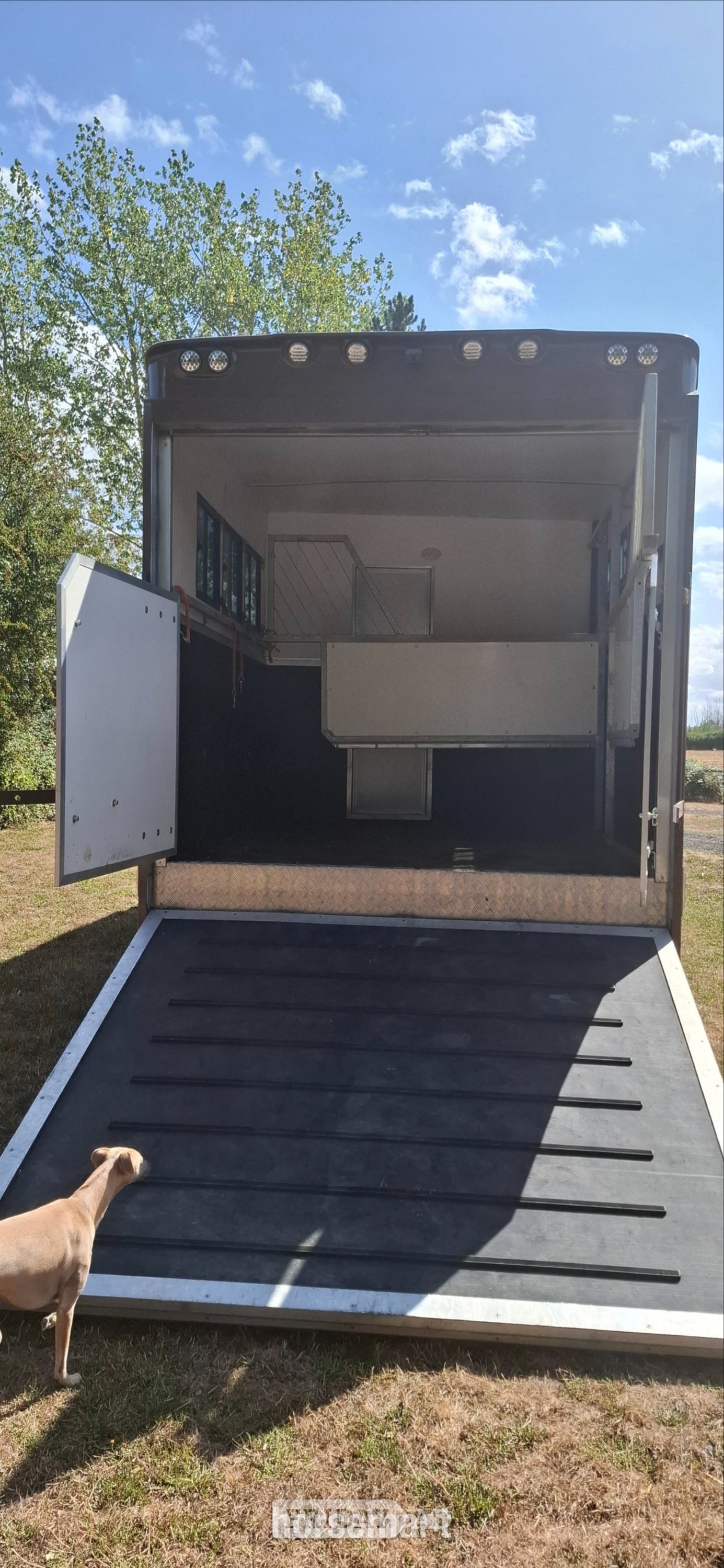 Custom  Daf Trucks Horsebox - Trailers & Horseboxes