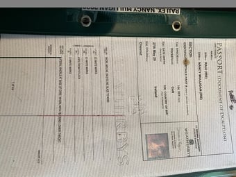 "unnamed" Chestnut Gelding All Rounder