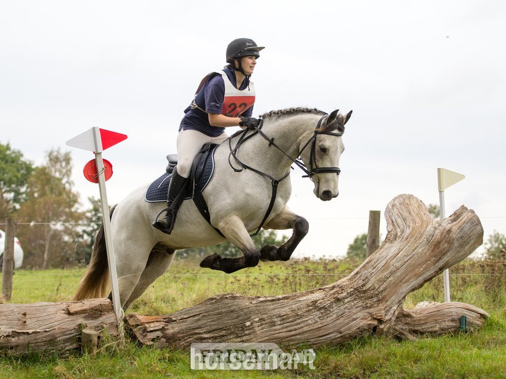 PART LOAN – 15.2hh Connemara Gelding – Iver in Iver