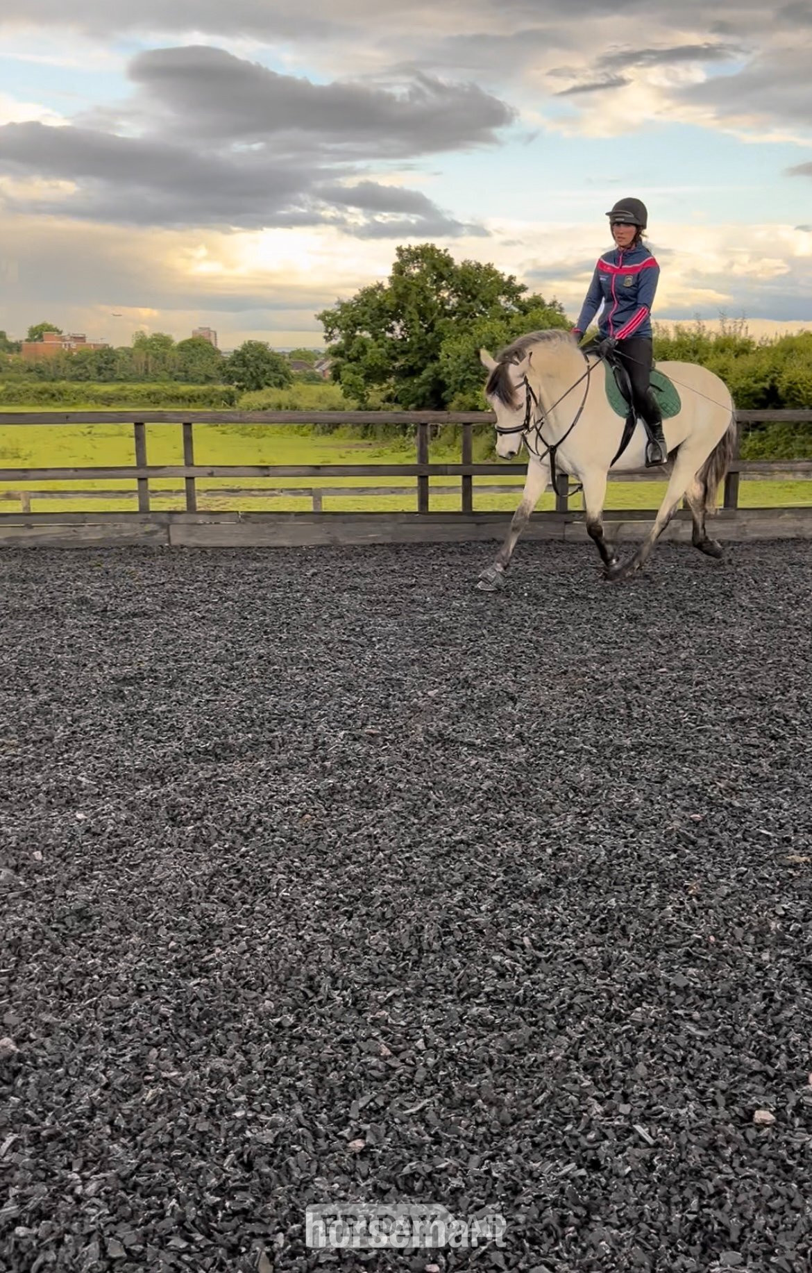Iver PART LOAN – 15.2hh Connemara Gelding – Iver
