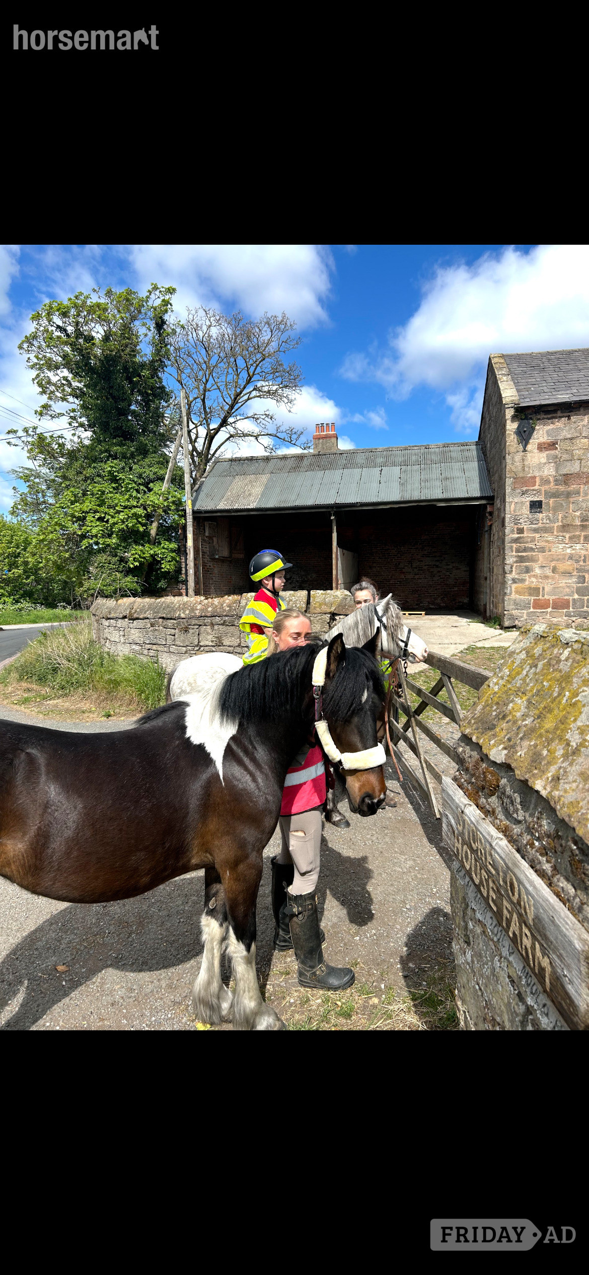 "Holly" Tri-Coloured Mare Family Horse