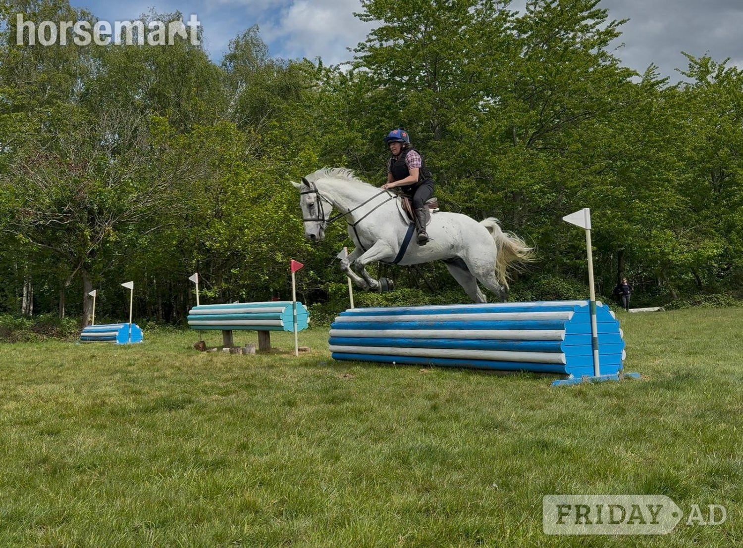 Battle "Dynamo Dolphin" Grey Gelding All Rounder