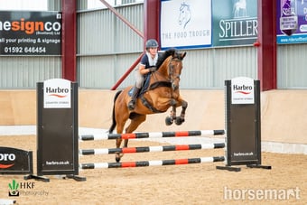 "Alphonse Karr" Bay Gelding All Rounder