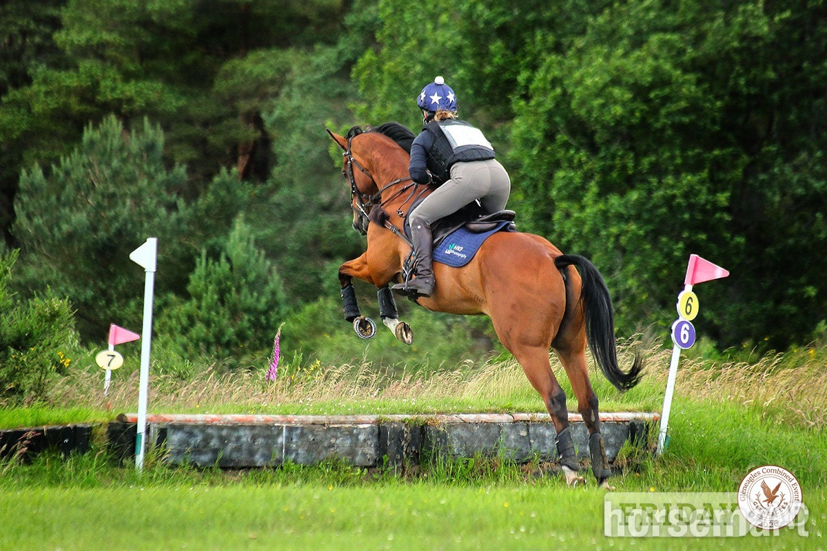 Crieff "Alphonse Karr" Bay Gelding All Rounder
