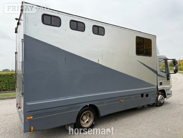 Minster  Iveco Horsebox - Trailers & Horseboxes in Banbury