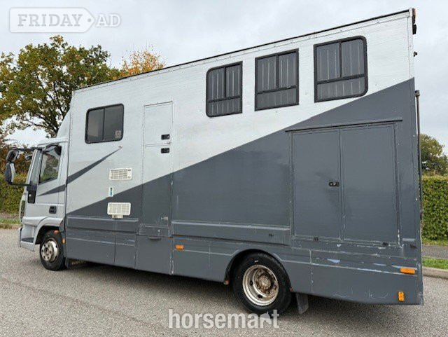 Minster  Iveco Horsebox - Trailers & Horseboxes