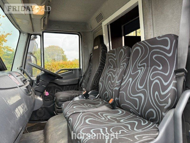 Minster  Iveco Horsebox - Trailers & Horseboxes in Banbury